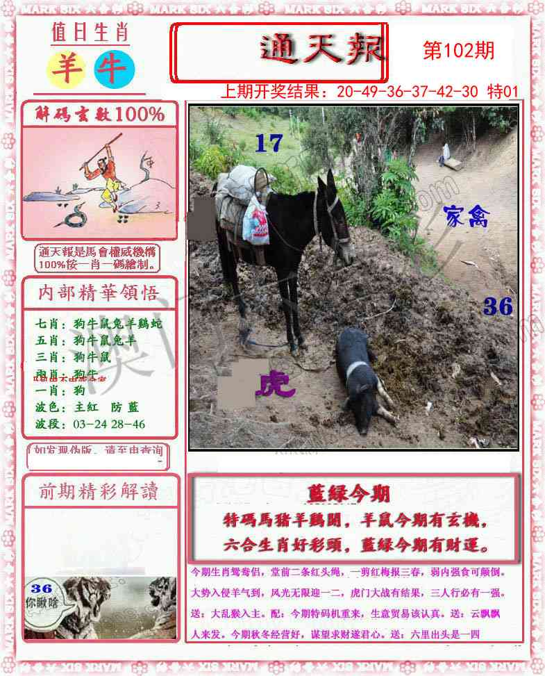 2025102期小喜通天报