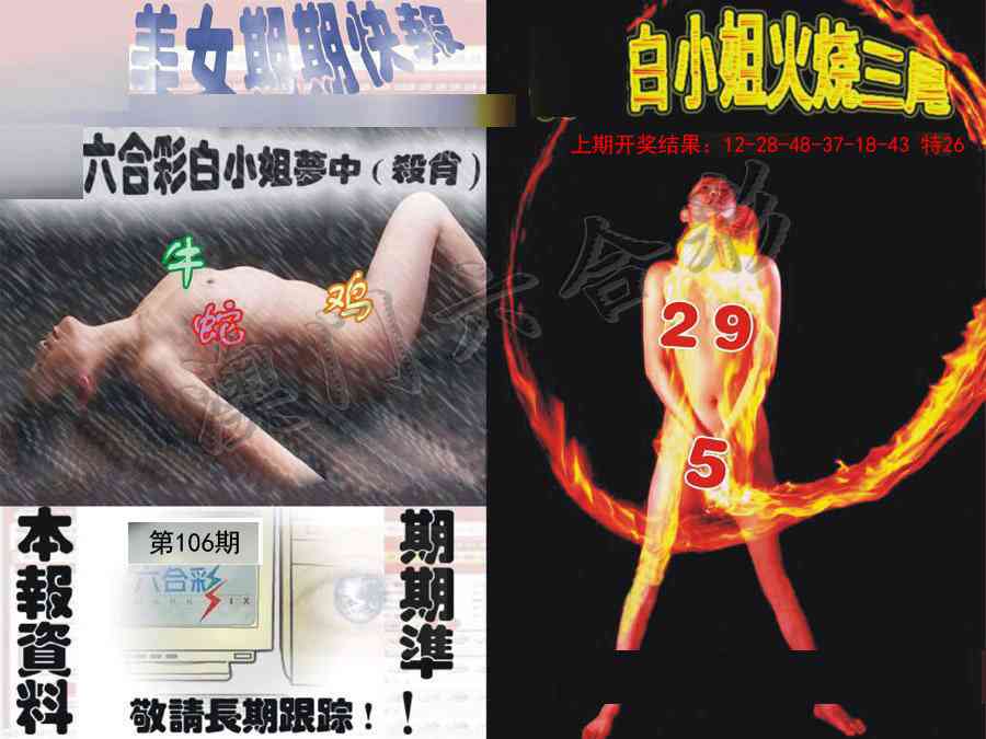2025106期环球美女特码报