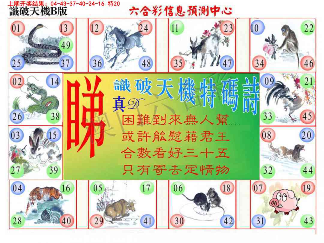 2025096期识破天机B版