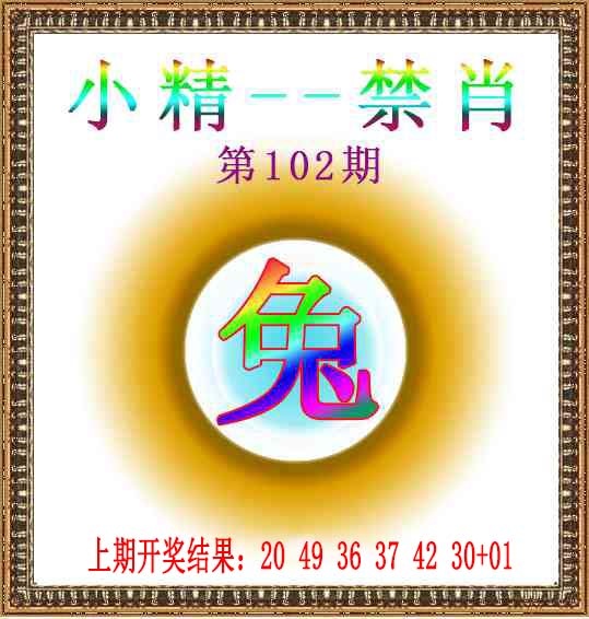 2025102期小精禁肖