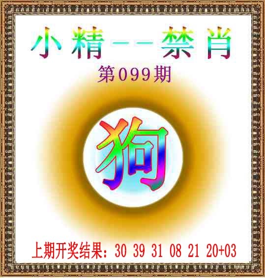 2025099期小精禁肖