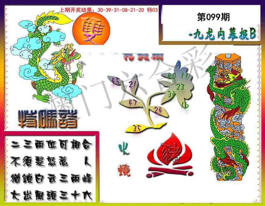 2025099期九龙内幕特肖图a