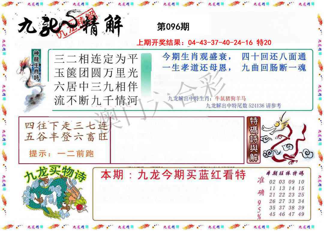 2025096期九龙精解