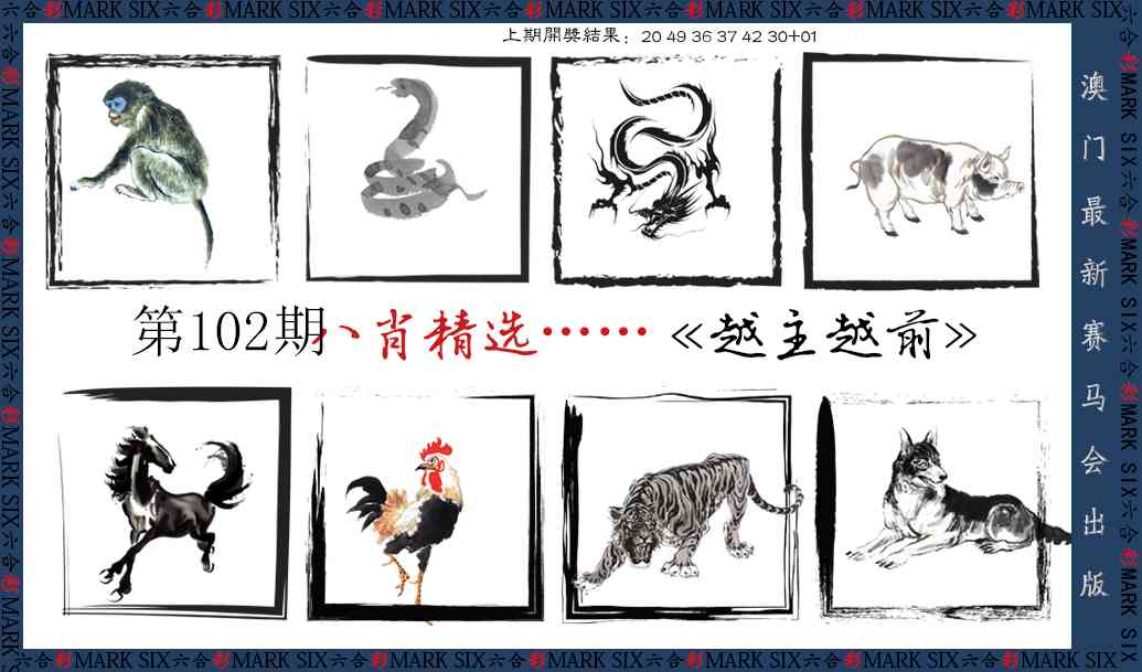 2025102期八肖精选