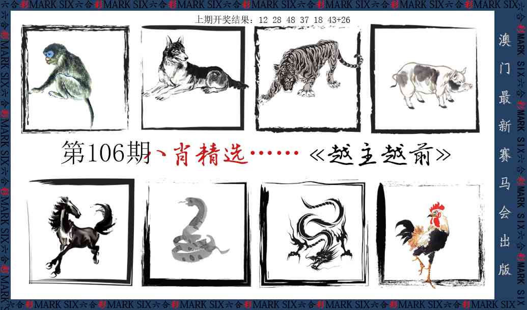 2025106期八肖精选