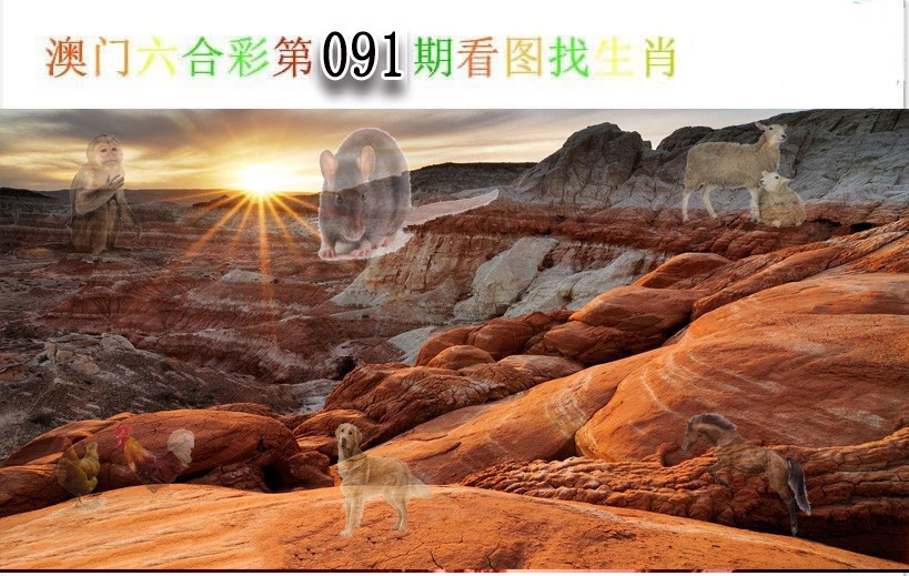 2025091期看图找生肖