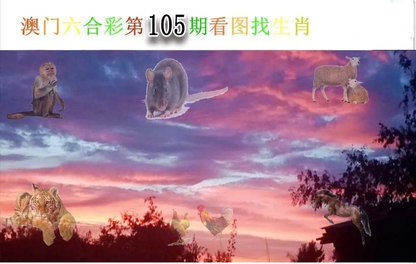 2025105期看图找生肖