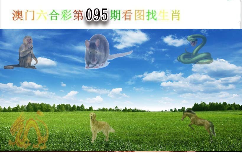 2025095期看图找生肖