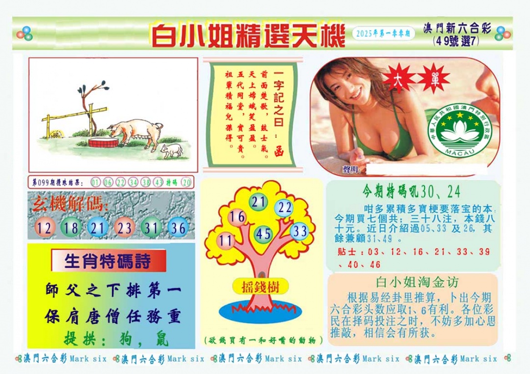 2025100期白小姐精选玄机A