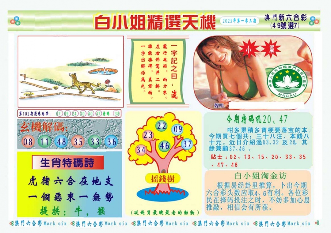 2025103期白小姐精选玄机A
