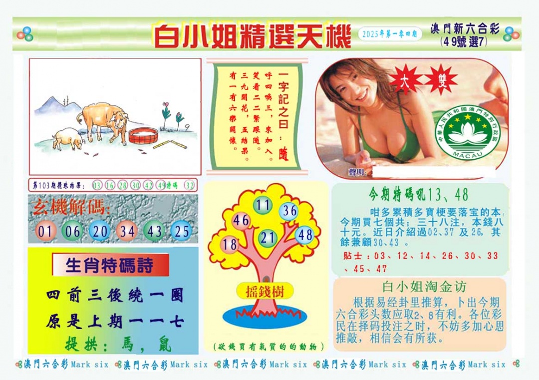 2025104期白小姐精选玄机A