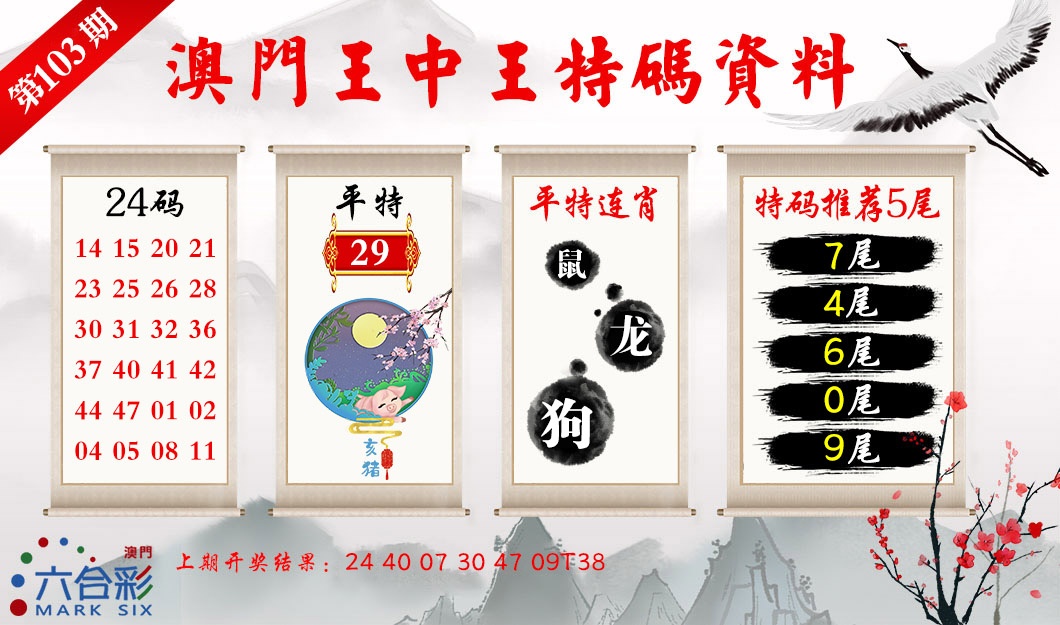 2025103期王中王特码料