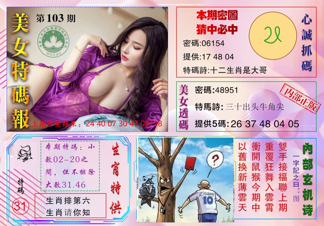 2025103期美女特码报