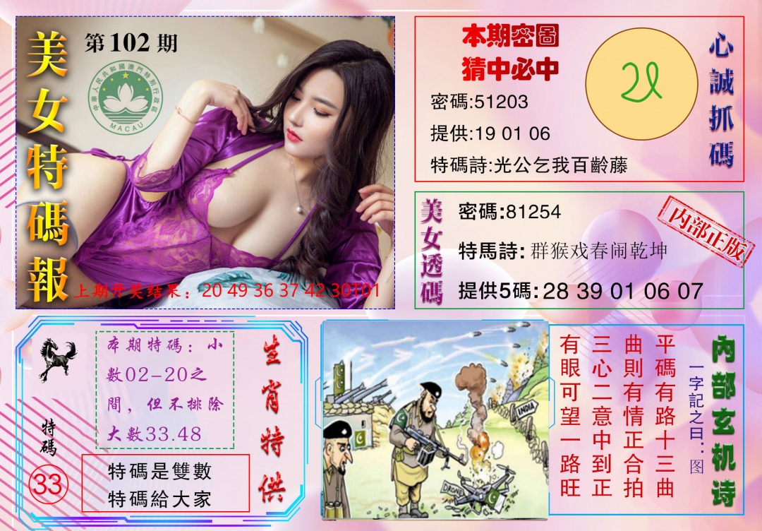 2025102期美女特码报