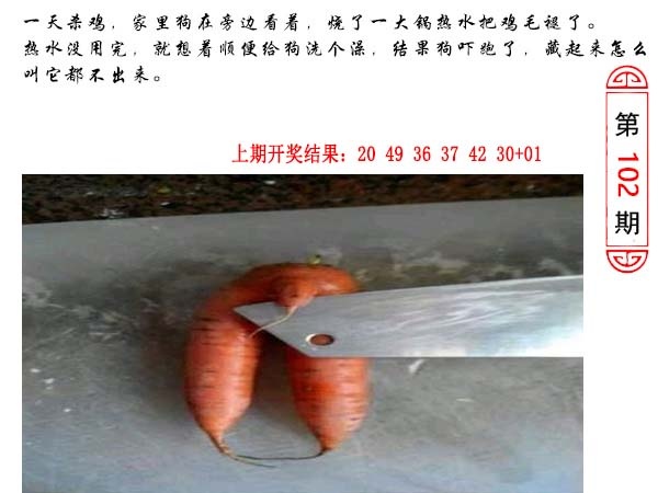 2025102期澳门生活幽默